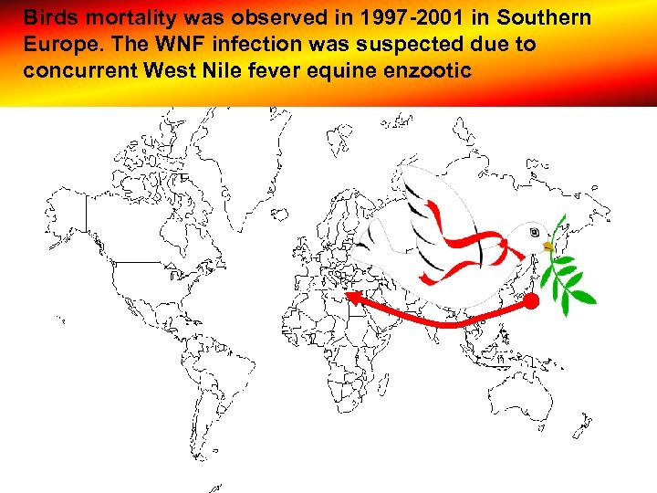 Birds mortality was observed in 1997 -2001 in Southern Europe. The WNF infection was