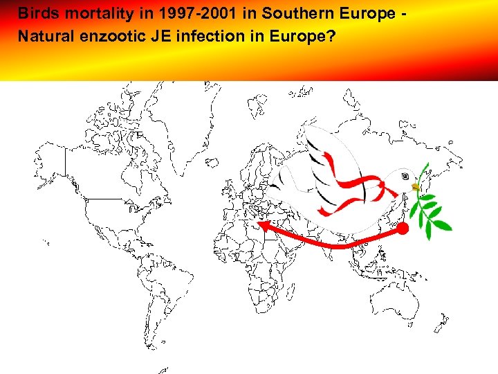 Birds mortality in 1997 -2001 in Southern Europe Natural enzootic JE infection in Europe?