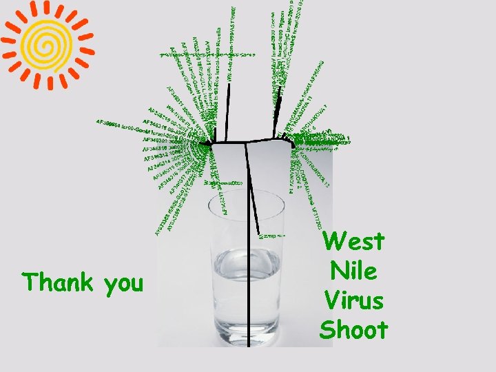 Thank you West Nile Virus Shoot 