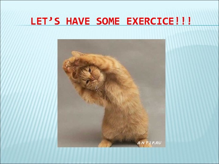 LET’S HAVE SOME EXERCICE!!! 