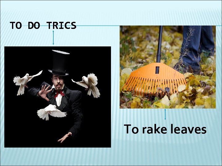 TO DO TRICS To rake leaves 