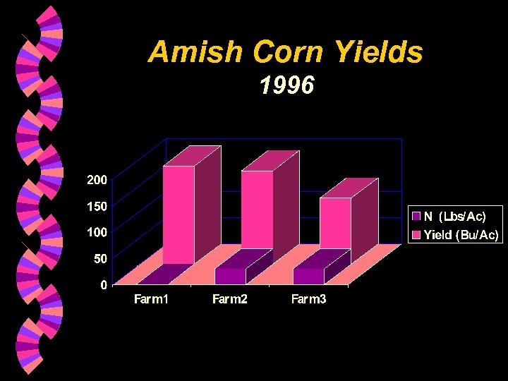Amish Corn Yields 1996 
