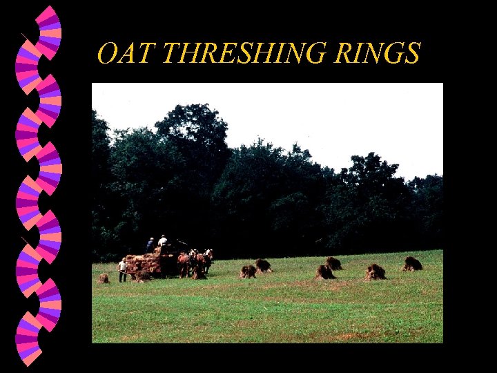 OAT THRESHING RINGS 