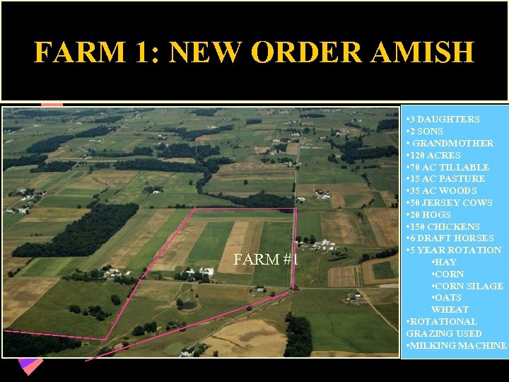 FARM 1: NEW ORDER AMISH FARM #1 • 3 DAUGHTERS • 2 SONS •