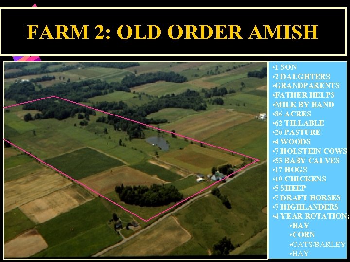 FARM 2: OLD ORDER AMISH • 1 SON • 2 DAUGHTERS • GRANDPARENTS •