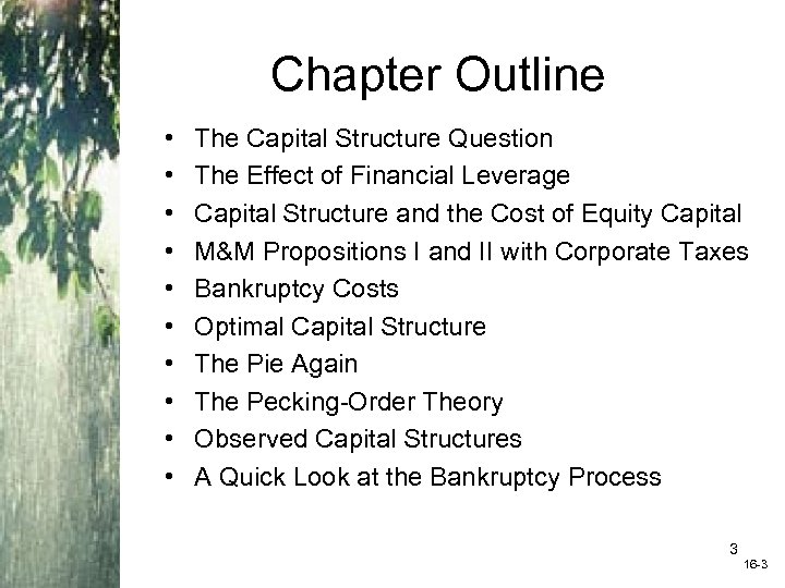 Chapter Outline • • • The Capital Structure Question The Effect of Financial Leverage