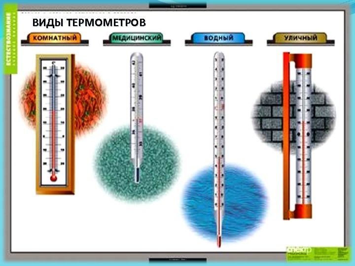 ВИДЫ ТЕРМОМЕТРОВ 