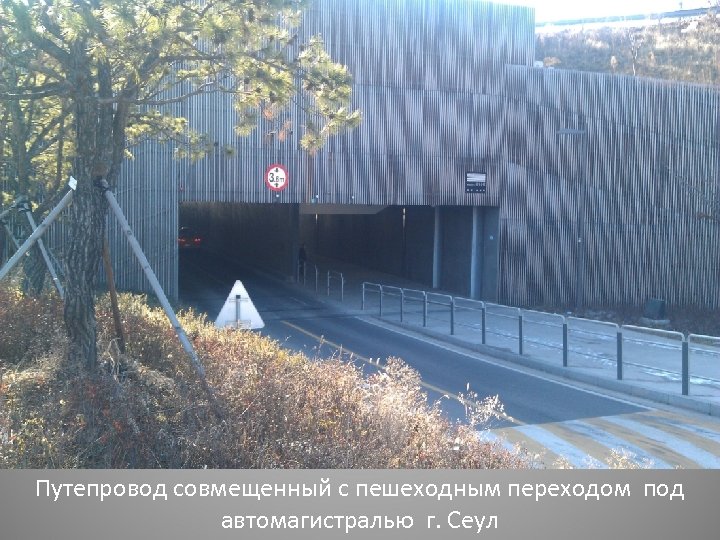 Путепровод совмещенный с пешеходным переходом под автомагистралью г. Сеул 