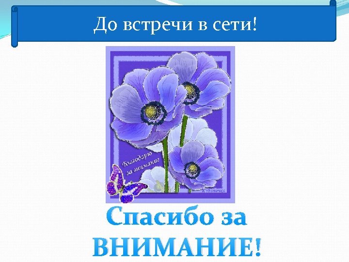 До встречи в сети! Спасибо за ВНИМАНИЕ! 
