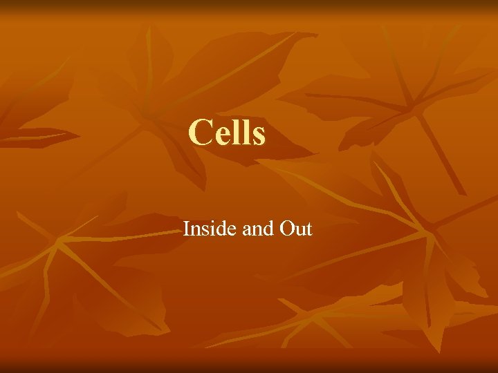 Cells Inside and Out 