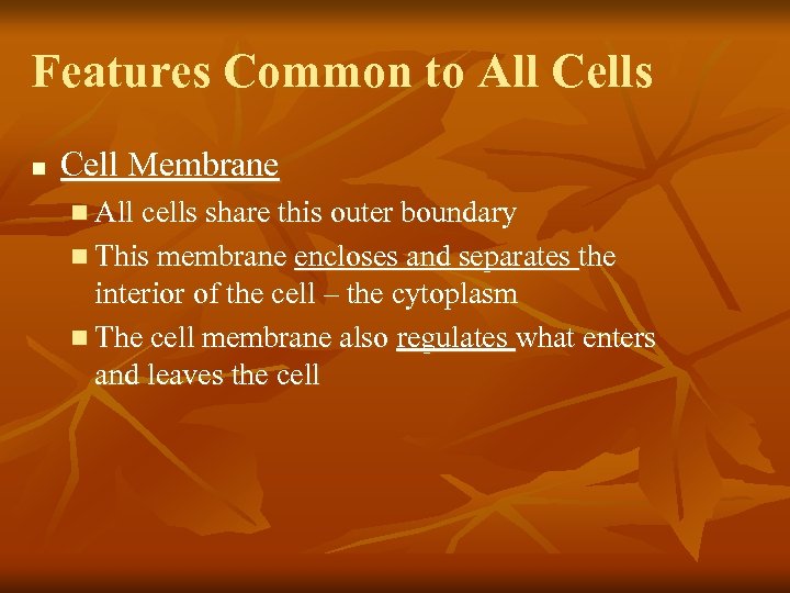 Features Common to All Cells n Cell Membrane n All cells share this outer