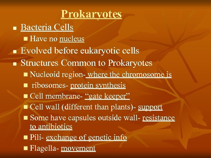 Prokaryotes n Bacteria Cells n Have no nucleus n n Evolved before eukaryotic cells
