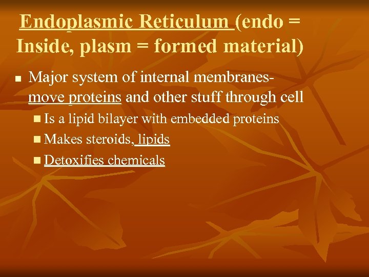 Endoplasmic Reticulum (endo = Inside, plasm = formed material) n Major system of internal