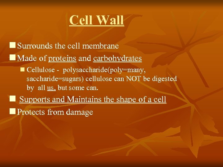 Cell Wall n Surrounds the cell membrane n Made of proteins and carbohydrates n