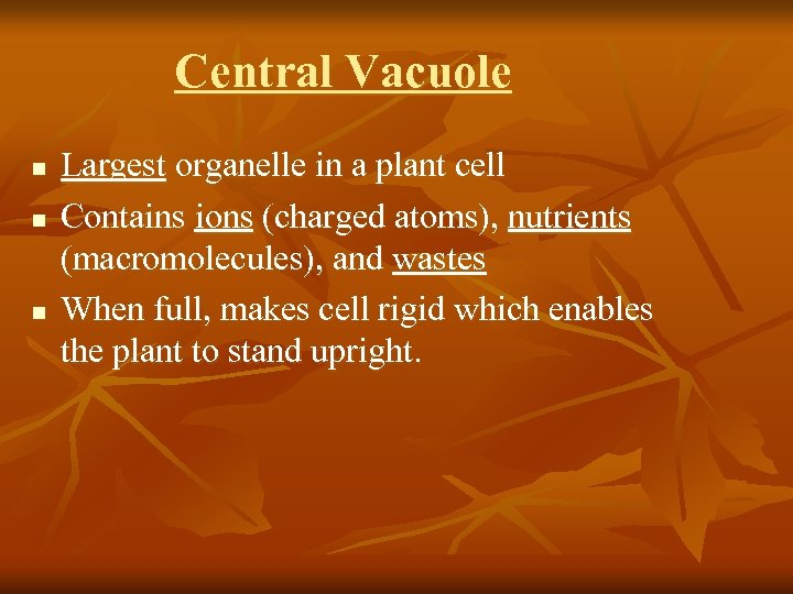 Central Vacuole n n n Largest organelle in a plant cell Contains ions (charged