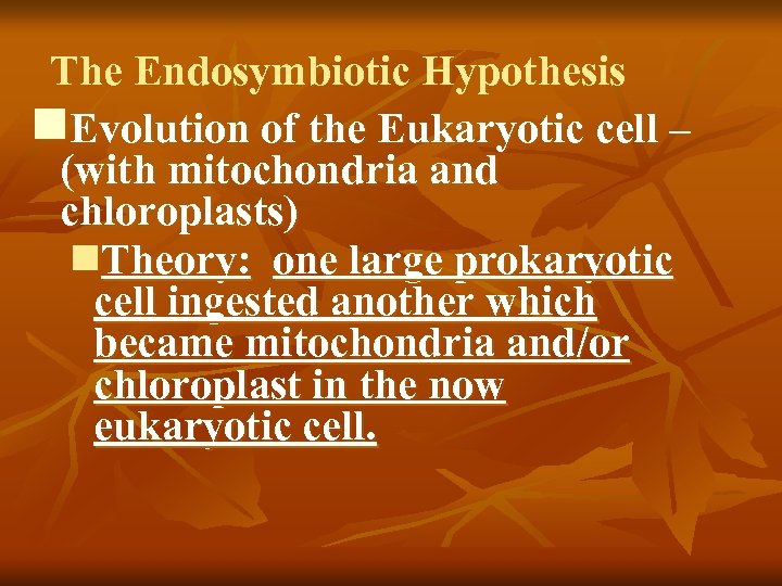 The Endosymbiotic Hypothesis n. Evolution of the Eukaryotic cell – (with mitochondria and chloroplasts)