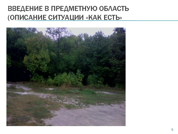ВВЕДЕНИЕ В ПРЕДМЕТНУЮ ОБЛАСТЬ (ОПИСАНИЕ СИТУАЦИИ «КАК ЕСТЬ» 5 