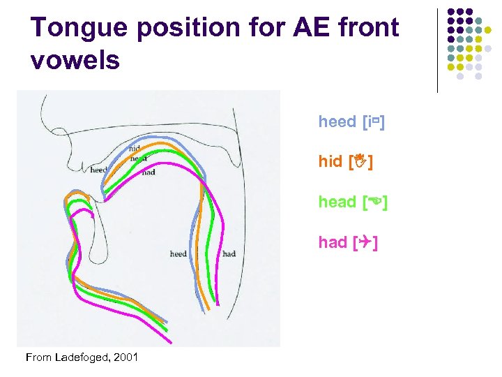 Tongue position for AE front vowels heed [i ] hid [ ] head [E]