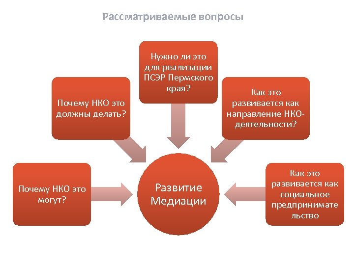 Рассматриваемые вопросы Нужно ли это для реализации ПСЭР Пермского края? Почему НКО это должны