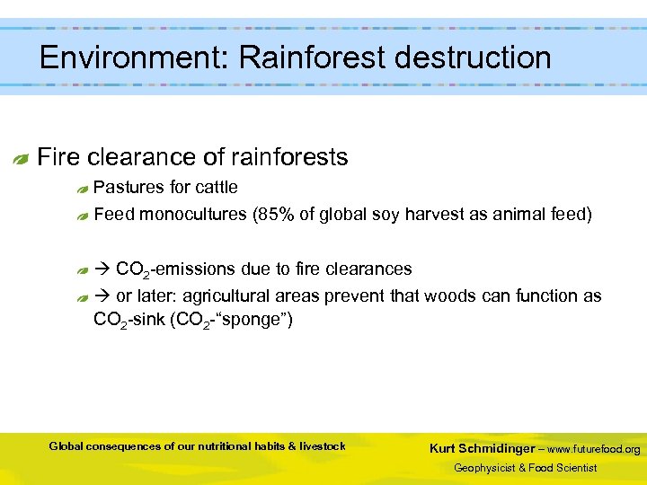  Environment: Rainforest destruction Fire clearance of rainforests Pastures for cattle Feed monocultures (85%