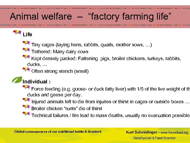  Animal welfare – “factory farming life” Life Tiny cages (laying hens, rabbits, quails,