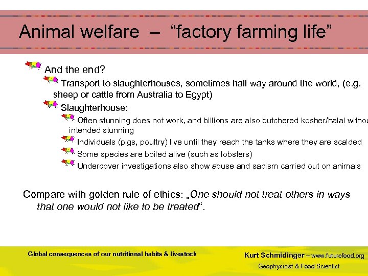  Animal welfare – “factory farming life” And the end? Transport to slaughterhouses, sometimes