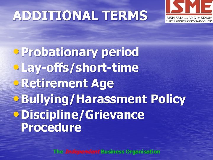 ADDITIONAL TERMS • Probationary period • Lay-offs/short-time • Retirement Age • Bullying/Harassment Policy •