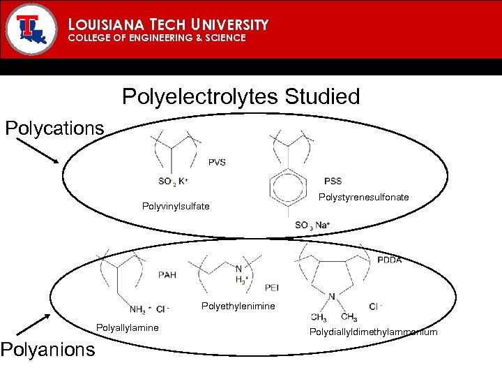 LOUISIANA TECH UNIVERSITY COLLEGE OF ENGINEERING & SCIENCE Polyelectrolytes Studied Polycations Polyanions Polyvinylsulfate Polystyrenesulfonate