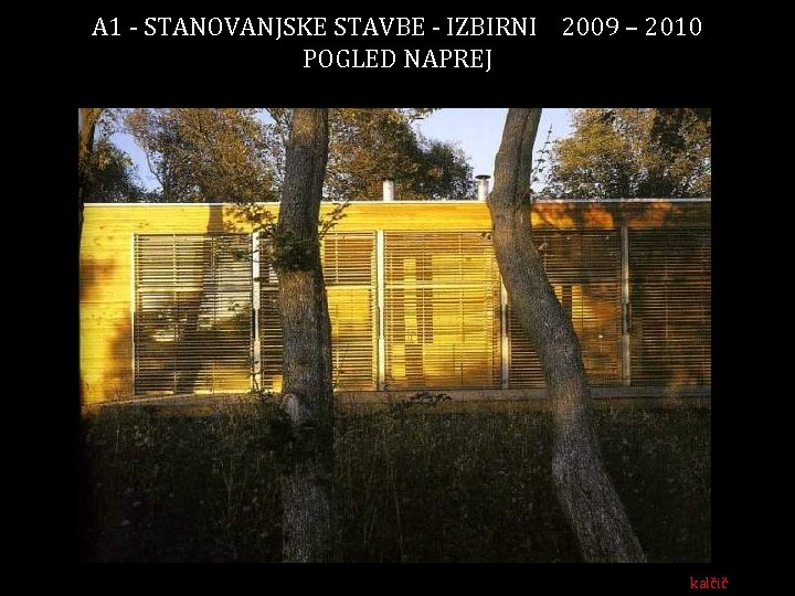 A 1 - STANOVANJSKE STAVBE - IZBIRNI 2009 – 2010 POGLED NAPREJ kalčič 