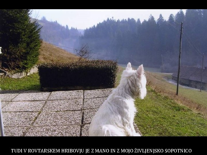 TUDI V ROVTARSKEM HRIBOVJU JE Z MANO IN Z MOJO ŽIVLJENJSKO SOPOTNICO 