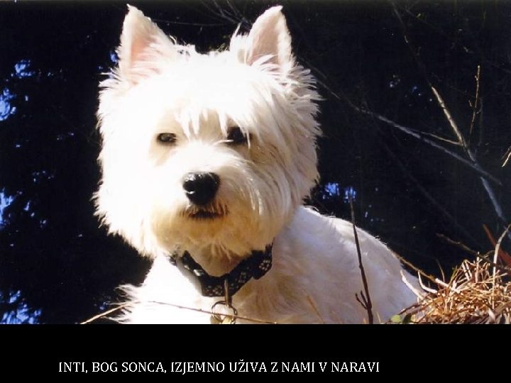 INTI, BOG SONCA, IZJEMNO UŽIVA Z NAMI V NARAVI 