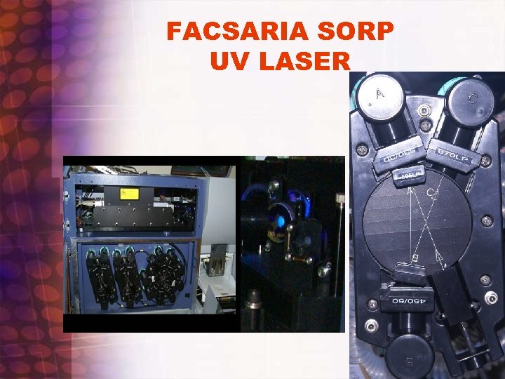 FACSARIA SORP UV LASER 