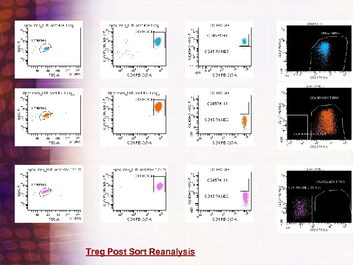 Treg Post Sort Reanalysis 