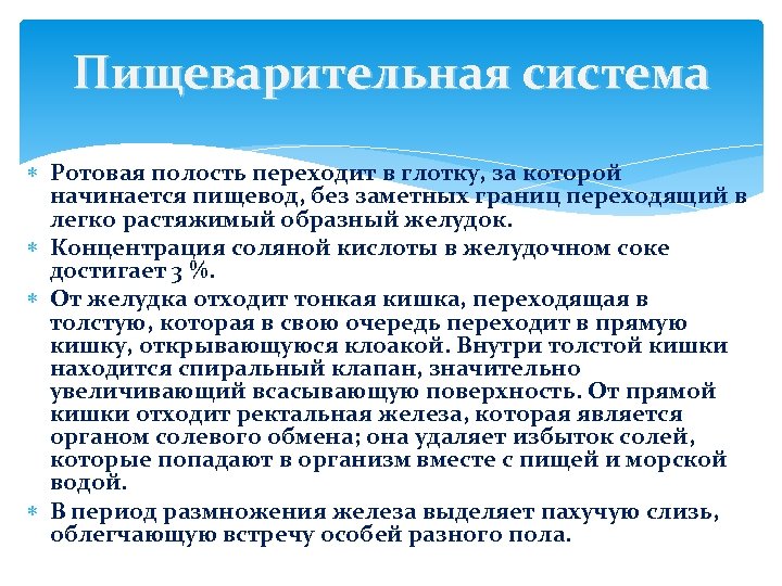 Пищеварительная система Ротовая полость переходит в глотку, за которой начинается пищевод, без заметных границ