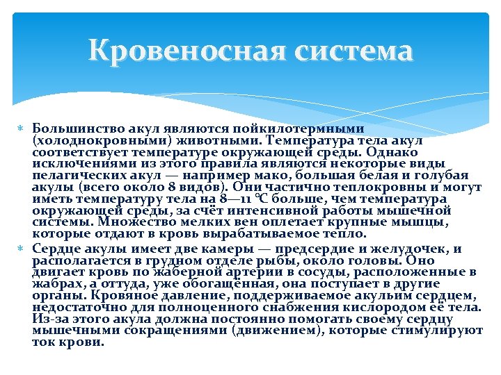 Кровеносная система Большинство акул являются пойкилотермными (холоднокровными) животными. Температура тела акул соответствует температуре окружающей