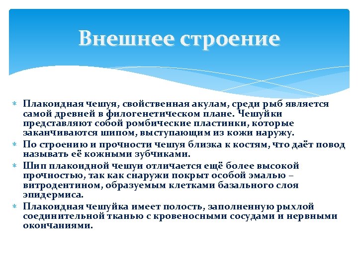 Внешнее строение Плакоидная чешуя, свойственная акулам, среди рыб является самой древней в филогенетическом плане.