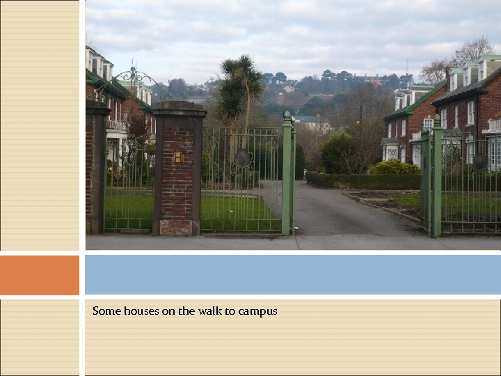 Some houses on the walk to campus 