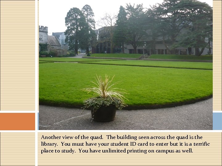 Another view of the quad. The building seen across the quad is the library.