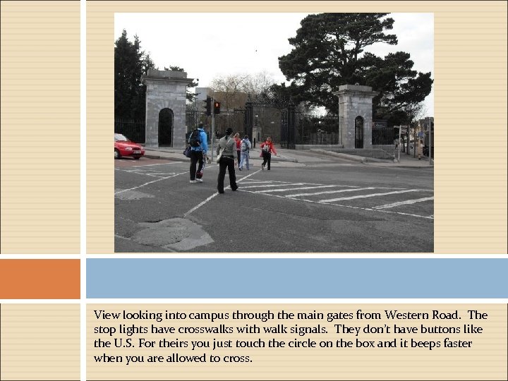 View looking into campus through the main gates from Western Road. The stop lights