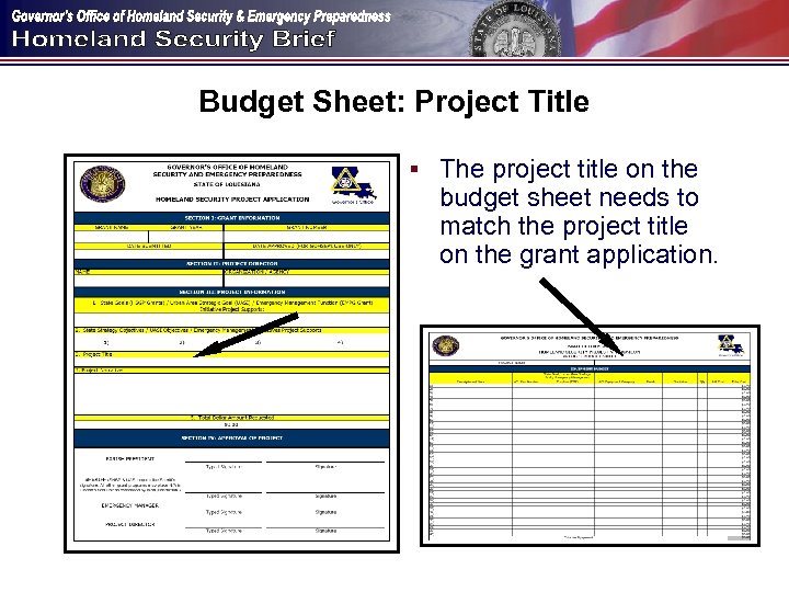 Budget Sheet: Project Title § The project title on the budget sheet needs to