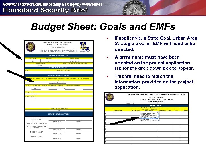 Budget Sheet: Goals and EMFs § If applicable, a State Goal, Urban Area Strategic