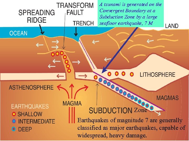 A tsunami is generated on the Convergent Boundary at a Subduction Zone by a