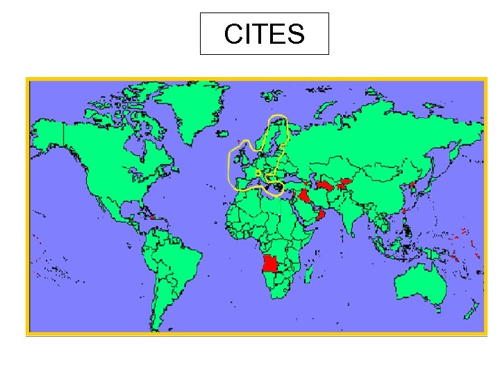 CITES 