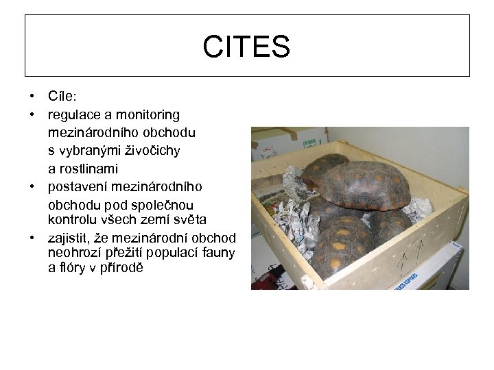 CITES • Cíle: • regulace a monitoring mezinárodního obchodu s vybranými živočichy a rostlinami