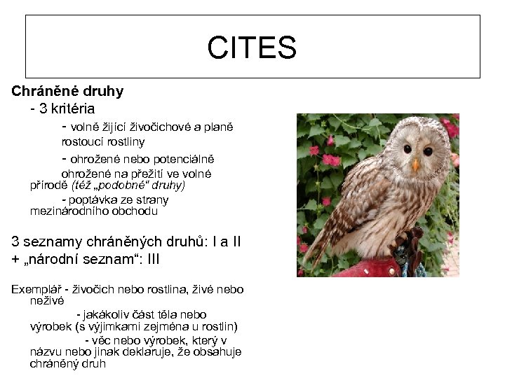 CITES Chráněné druhy - 3 kritéria - volně žijící živočichové a planě rostoucí rostliny