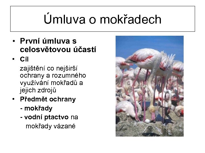 Úmluva o mokřadech • První úmluva s celosvětovou účastí • Cíl zajištění co nejširší