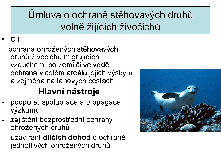 Úmluva o ochraně stěhovavých druhů volně žijících živočichů • Cíl ochrana ohrožených stěhovavých druhů