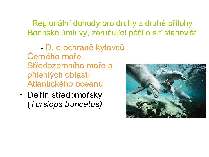 Regionální dohody pro druhy z druhé přílohy Bonnské úmluvy, zaručující péči o síť stanovišť