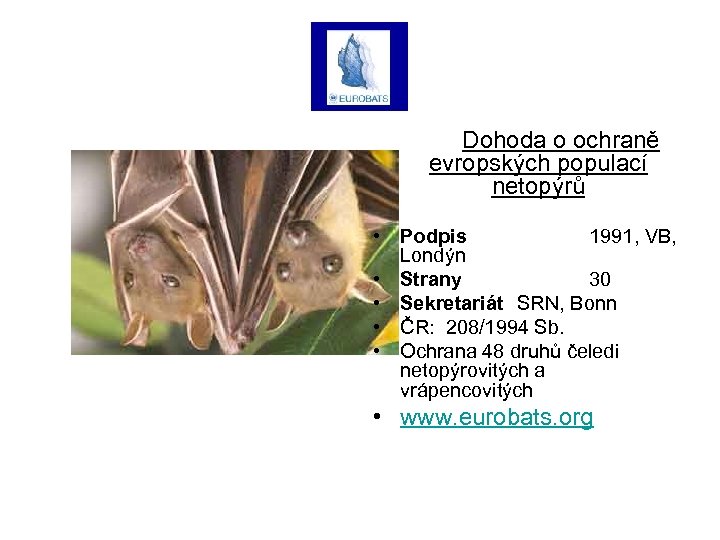 Dohoda o ochraně evropských populací netopýrů • Podpis 1991, VB, Londýn • Strany 30