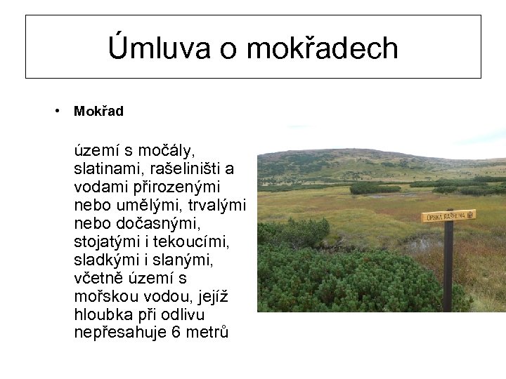 Úmluva o mokřadech • Mokřad území s močály, slatinami, rašeliništi a vodami přirozenými nebo